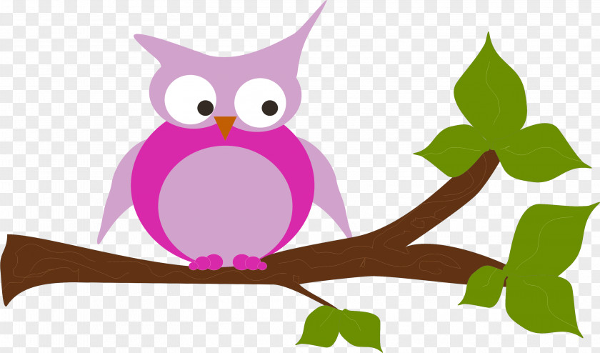 Owl Beak Bird Clip Art PNG