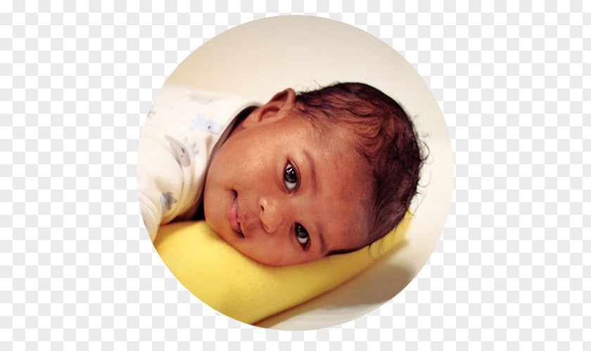 Prenatal Education Infant Toddler PNG