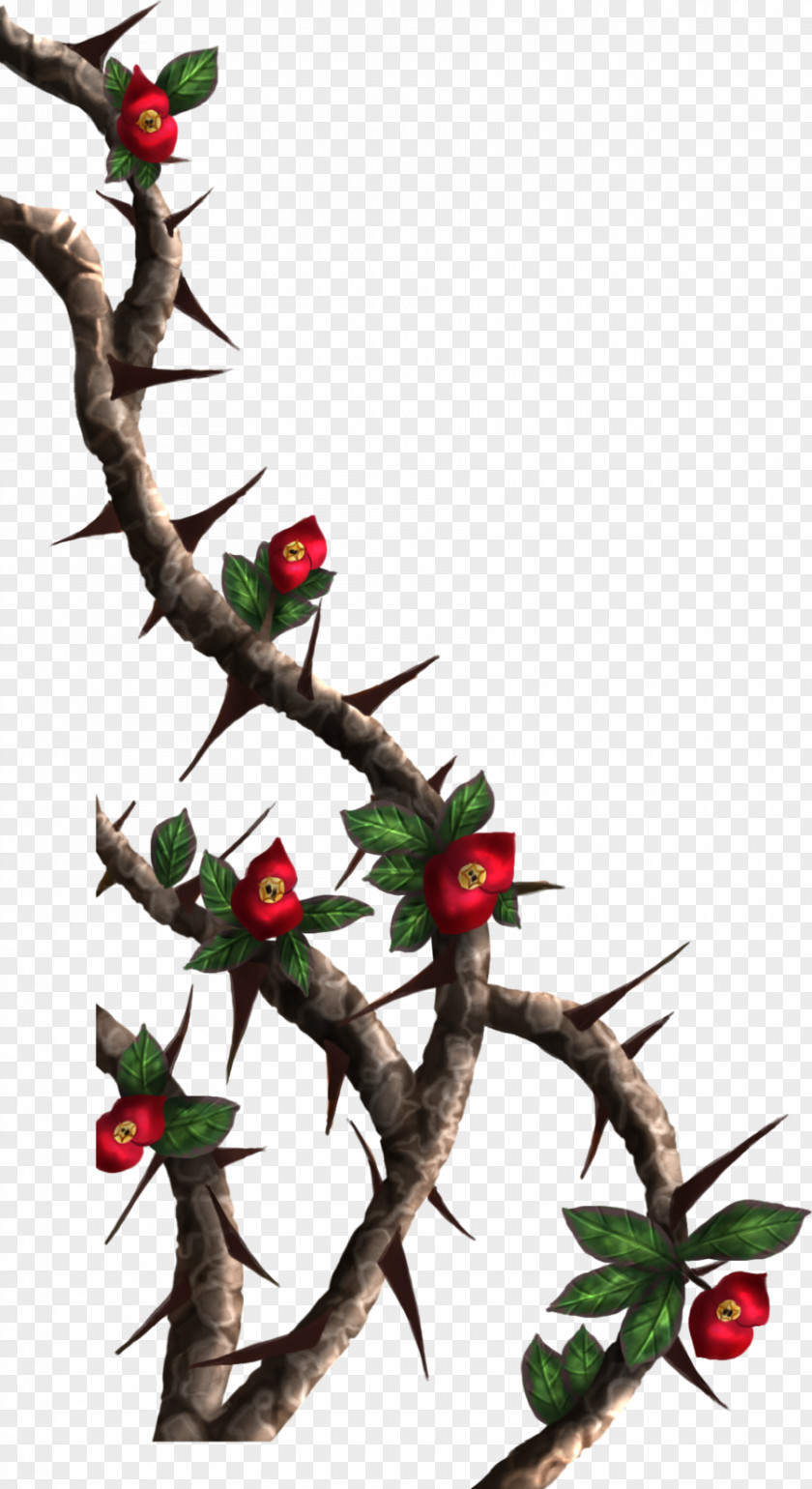 Thorn Thorns, Spines, And Prickles Rose Crown Of Thorns Drawing Clip Art PNG