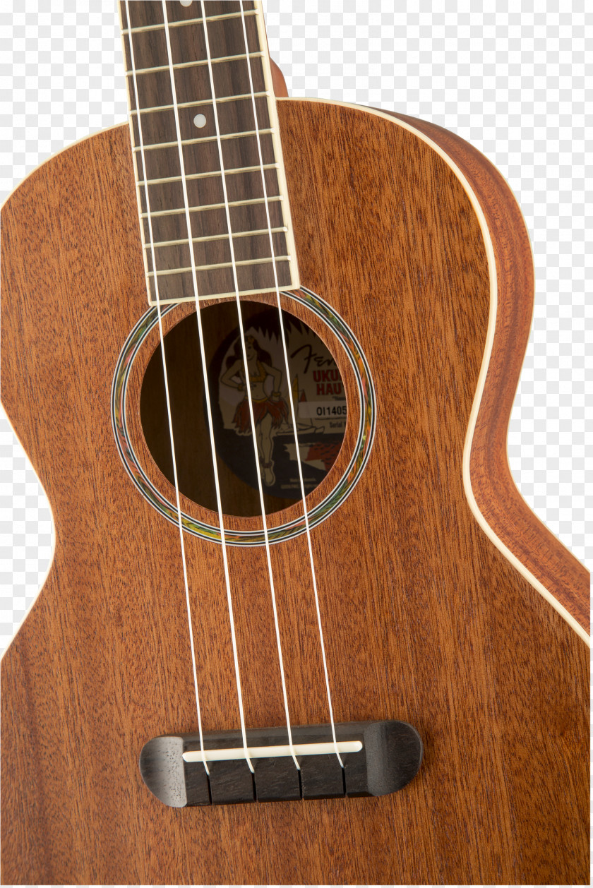 Bass Guitar Ukulele Acoustic Tiple Cuatro PNG