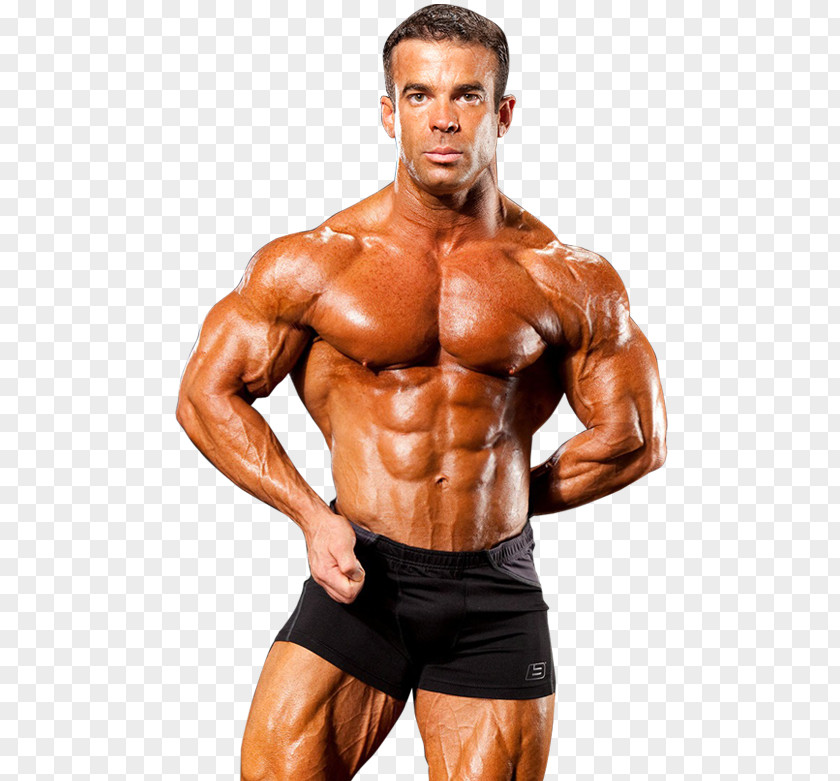 Bodybuilding Free Download Physical Fitness PNG