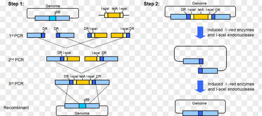 Design Document Line Angle PNG