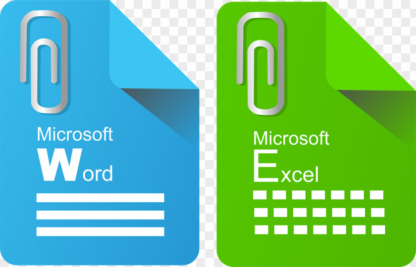 Excel Microsoft Word Office Specialist PNG