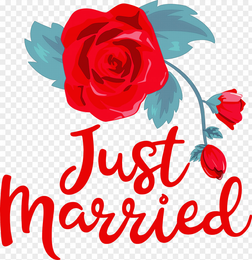 Just Married Wedding PNG