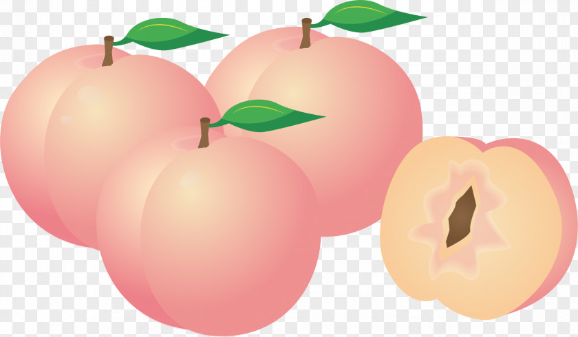 Peach Clipart Longevity Sticker Clip Art PNG