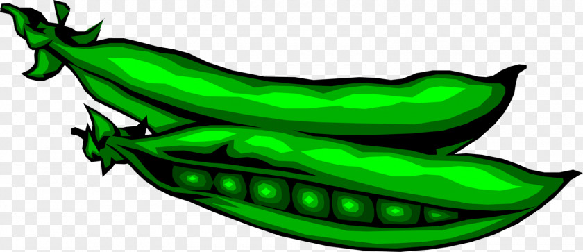 Pois Doux Petit Green Pea Clip Art Vegetable Food PNG