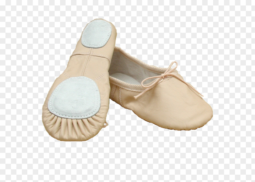 Ballet Slippers Slipper Shoe Size Pointe PNG