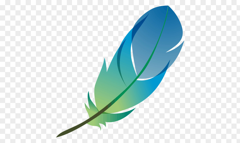 Islamic Post Bird Feather Quill Color Ganso PNG