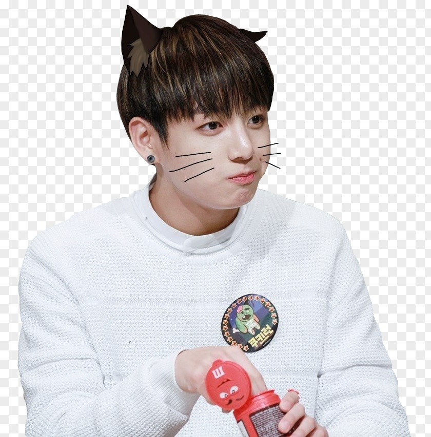 Jungkook BTS K-pop Love Yourself: Her The Most Beautiful Moment In Life: Young Forever PNG