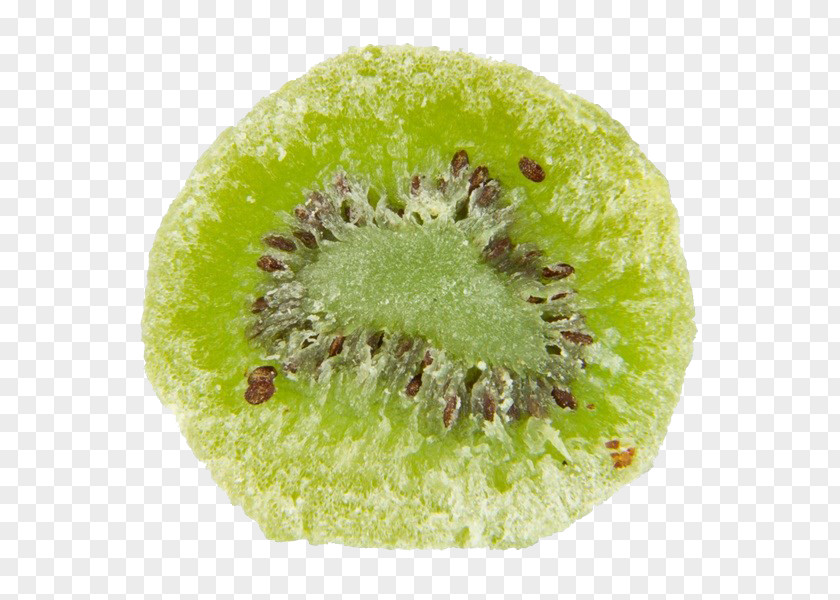 Kiwi Slices Close-up Free Download Kiwifruit Stock Photography PNG