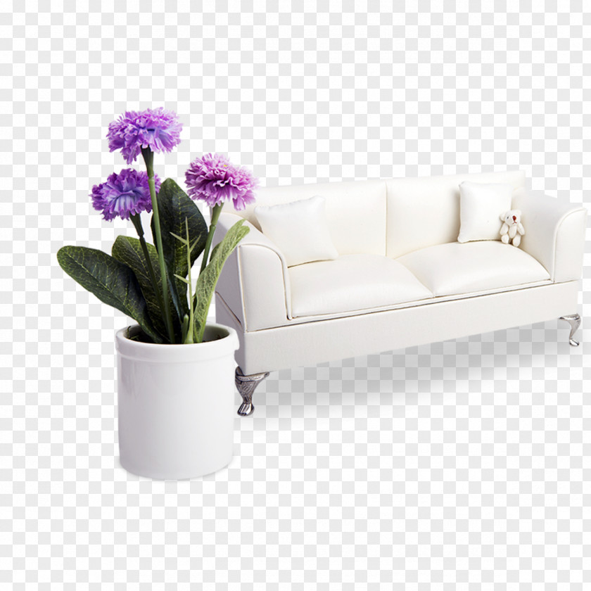 Sofa Bonsai Purple Blue PNG