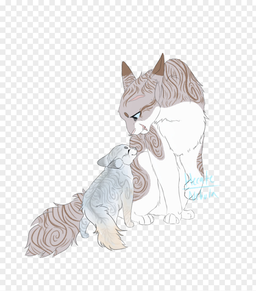 Kitten Whiskers Tabby Cat Drawing PNG