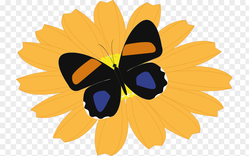 Orange Flower Butterfly Clip Art PNG