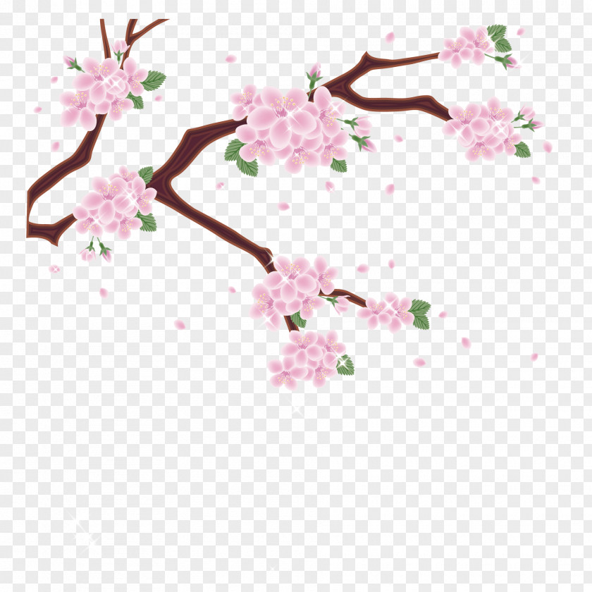 Vector Japanese Pink Cherry Blossom Mount Fuji Photography Clip Art PNG