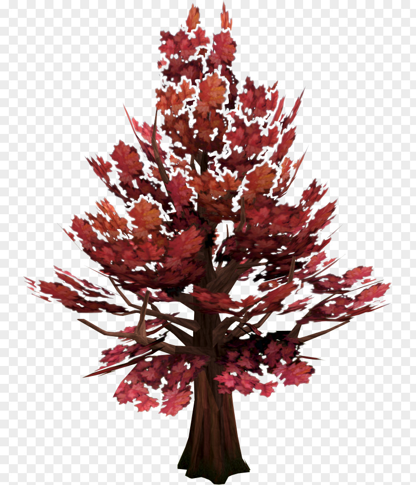 Arboles Old School RuneScape Tree Woody Plant Red Maple PNG