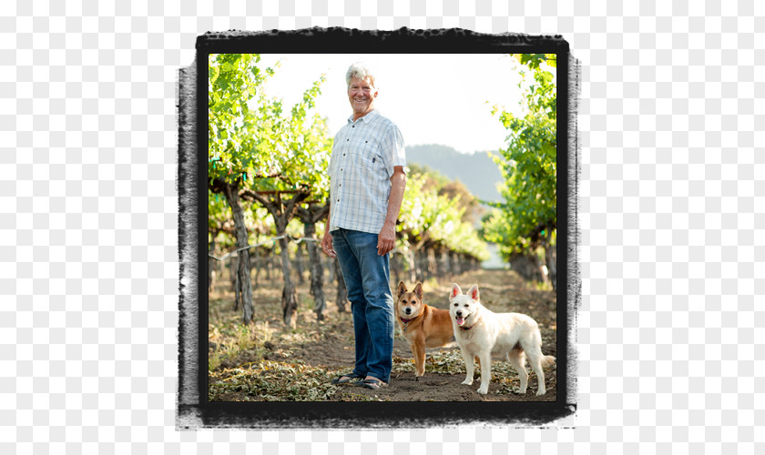 Champagne Cheers Hoopes Vineyard Dog Breed Obedience Training Winery PNG