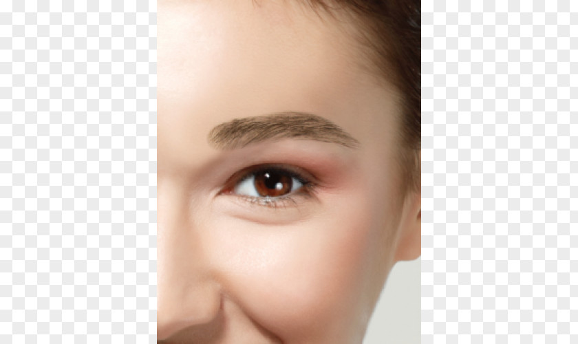 Eyebrows Eyebrow Artificial Hair Integrations Dimple Nature PNG