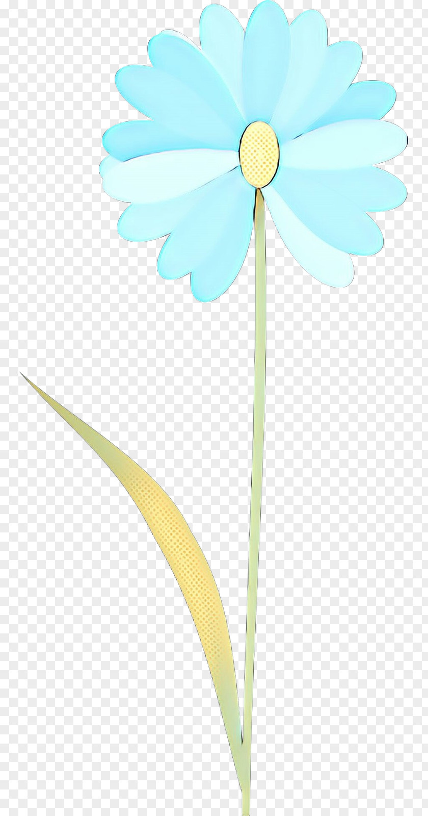 Oxeye Daisy Cut Flowers Floral Design Plant Stem PNG