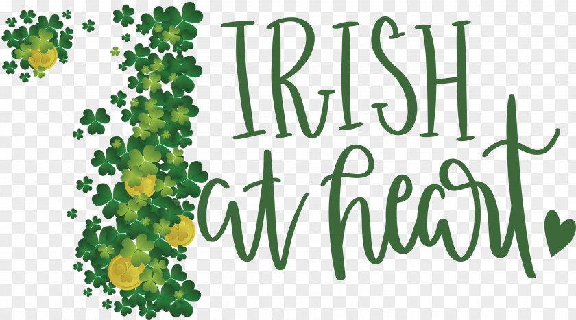 Shamrock Irish Saint Patrick PNG