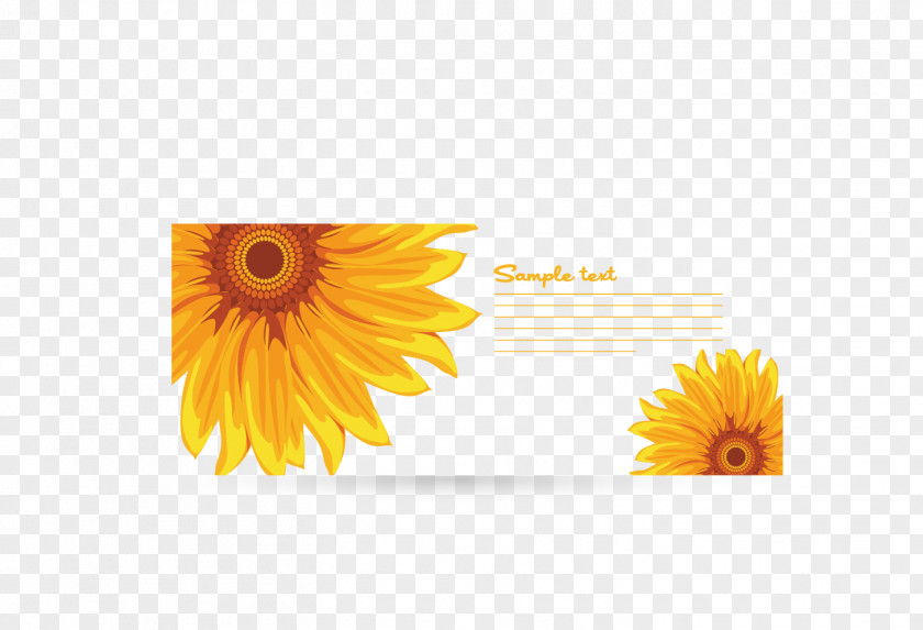 Sunflower Common Download Euclidean Vector PNG