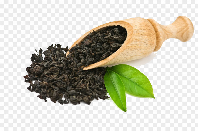 Tea Green Oolong Boston Party Culture PNG