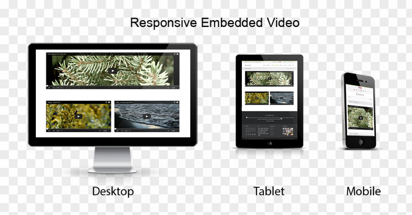 Creative Slate Responsive Web Design DotNetNuke Display Advertising Multimedia PNG
