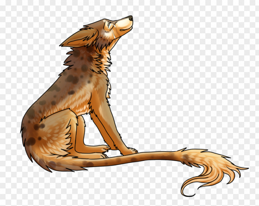 Dog Canidae Wildlife Tail Mammal PNG