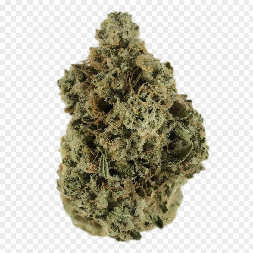 Grease Jan Speedy Jane's Feral Cannabis Royalty-free Image PNG