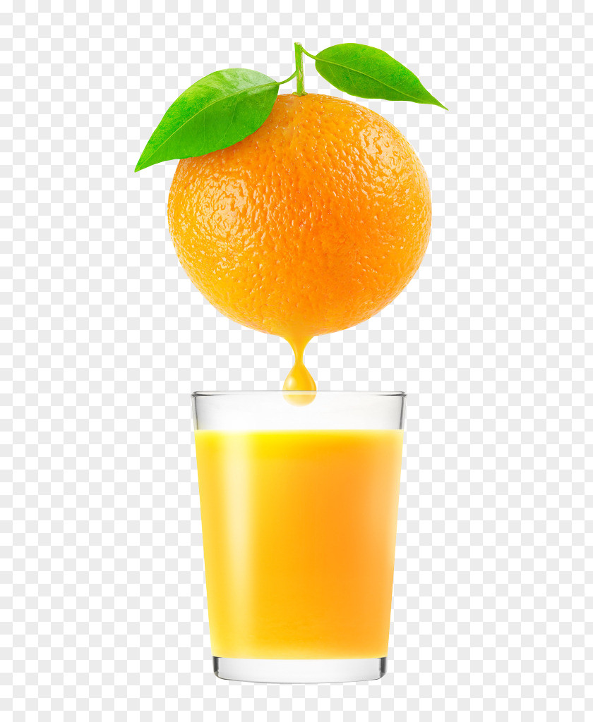 Orange Juice Auglis PNG