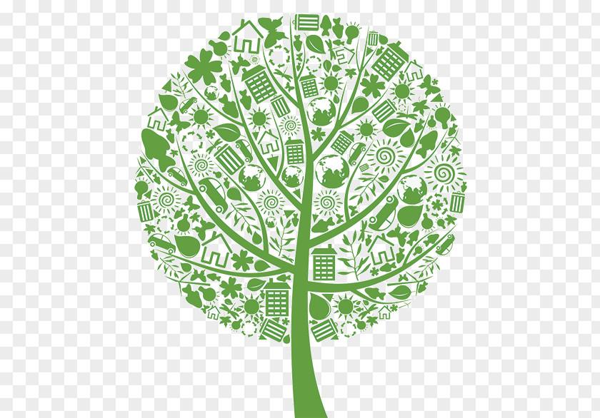 Tree Ecology Clip Art PNG
