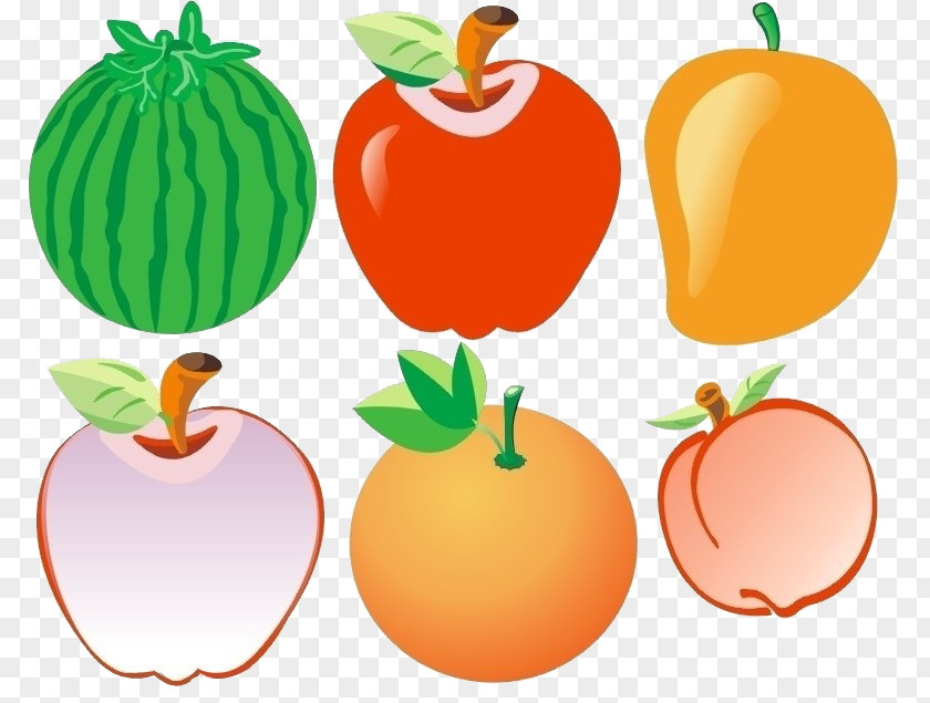 Cartoon Watermelon Mango Apple Orange Fruit Auglis Poster PNG