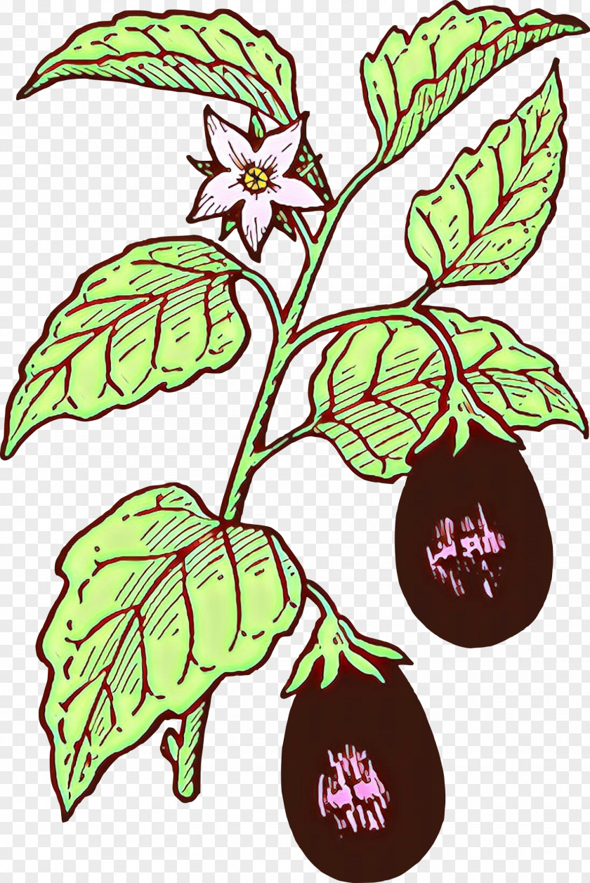 Flower Leaf Plant PNG