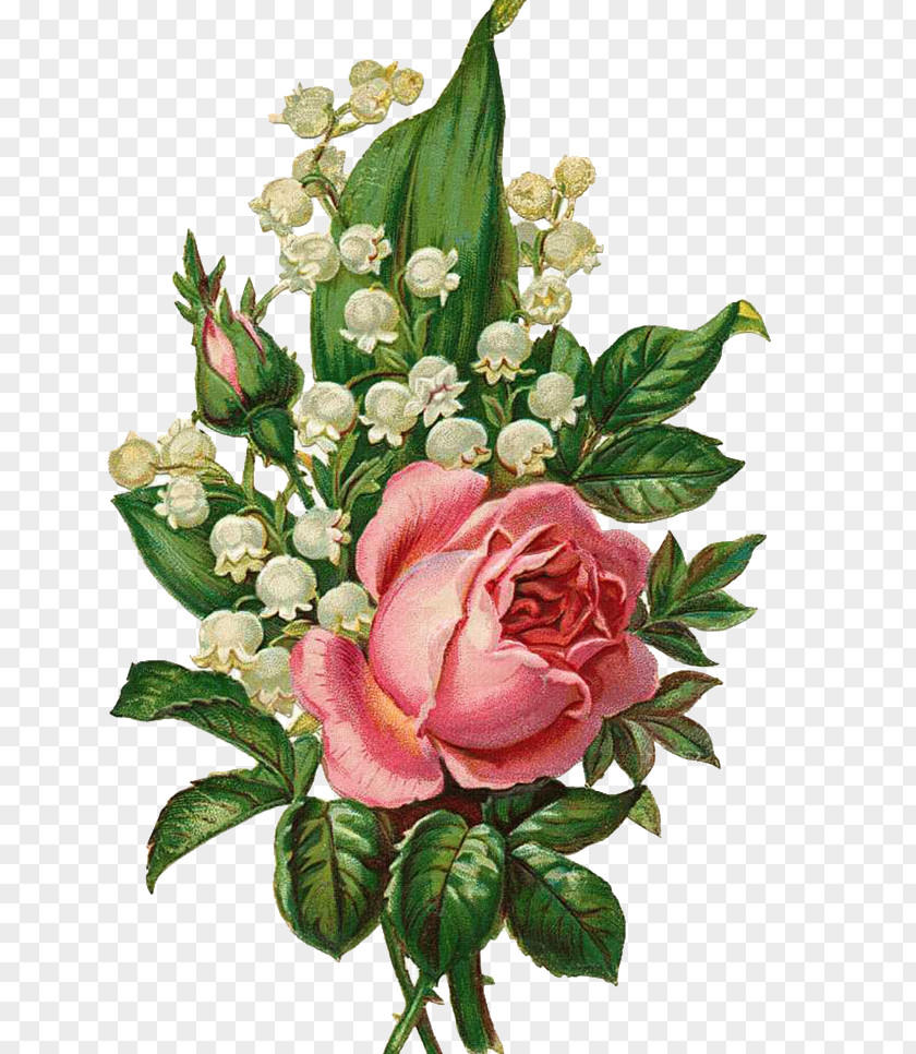Hand-painted Flowers Garden Roses Centifolia Floral Design Flower Bouquet Cut PNG