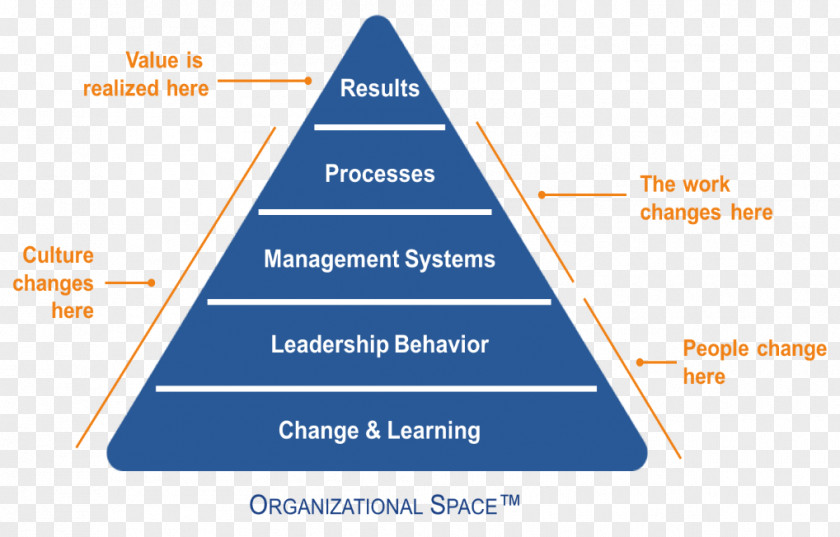 Organizational Framework Culture Health Care System Change Management PNG