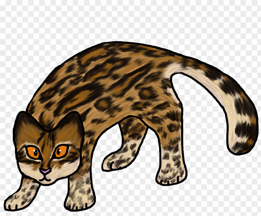 Shirts Egypt Ocelot Wildcat Cheetah Jaguar PNG
