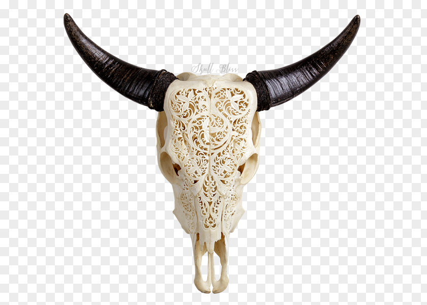 Skull Cattle XL Horns Wood Carving PNG