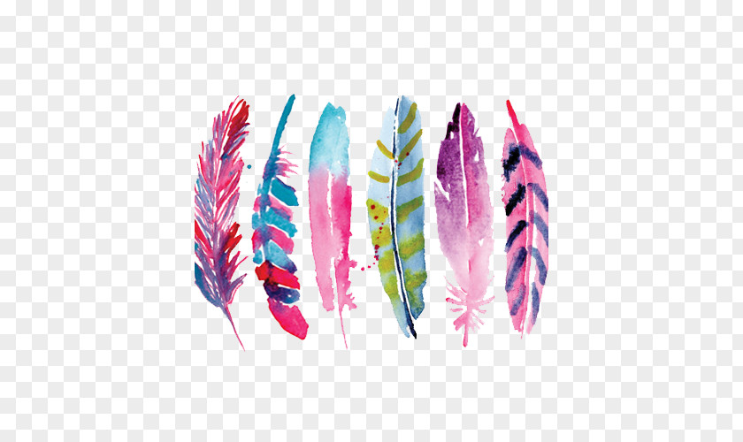 Watercolor Painted Feathers Feather Painting Drawing Art Illustration PNG