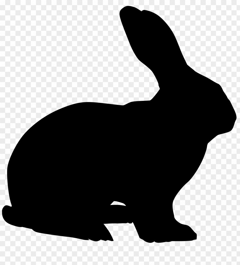 214 Hare European Rabbit Easter Bunny Dwarf PNG
