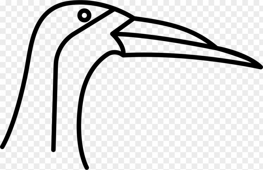 Bird Beak Feather Animal Clip Art PNG