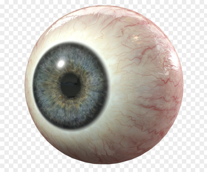 Eye 3D Modeling Computer Graphics Human PNG