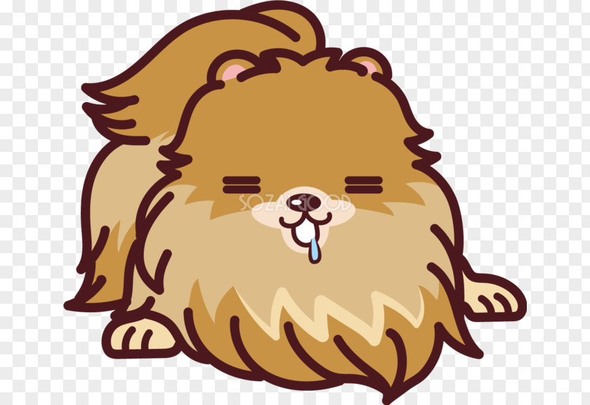 Lion Pomeranian Shiba Inu German Spitz Volpino PNG