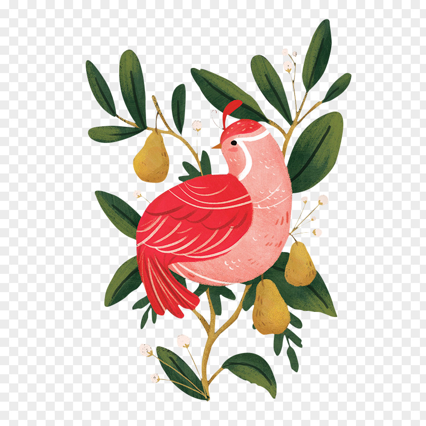 Pear Tree Chicken Illustration Design Image PNG