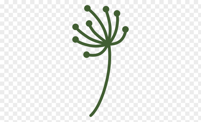 Vascular Plant Stem Flower PNG