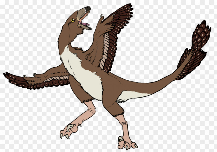 Bird Velociraptor Tyrannosaurus Of Prey Beak PNG