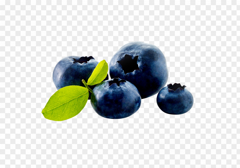 Blueberry Food Bilberry Huckleberry PNG