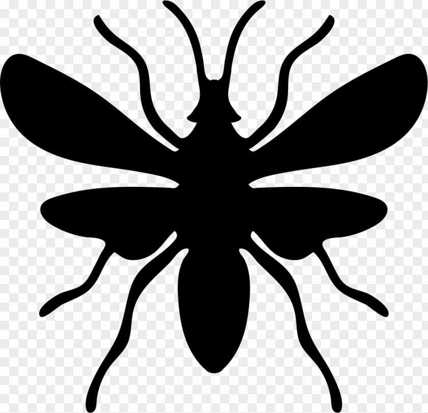 Insect Ant Illustration PNG
