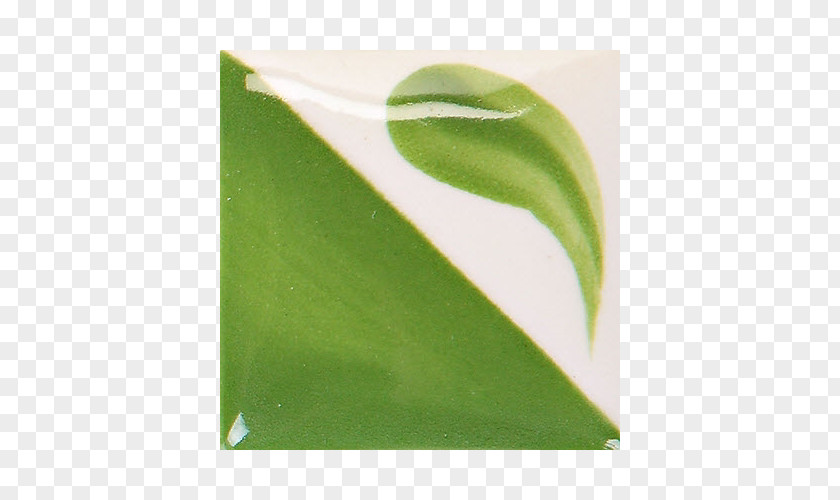 Kiwi Watercolor Green Duncan CN182 Bright Concepts Underglaze Banana Leaf Ounce PNG