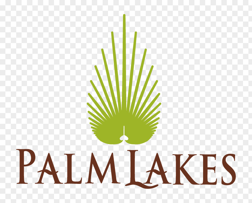 Logo Font Graphic Design Brand Leaf PNG