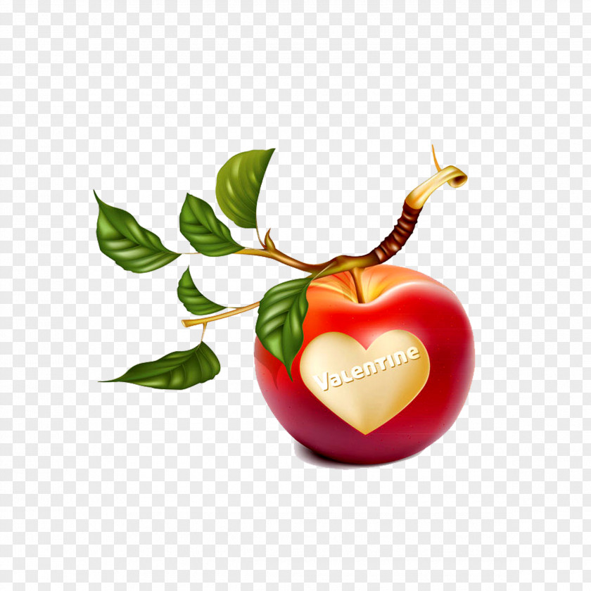 Romantic Heart-shaped Apple Branch Clip Art PNG