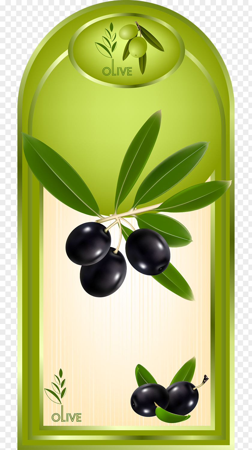Olives Olive Oil Label PNG